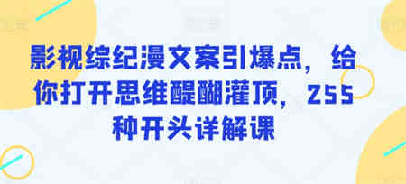 影视综纪漫文案引爆点，给你打开思维醍醐灌顶，255种开头详解课-侠客分享网