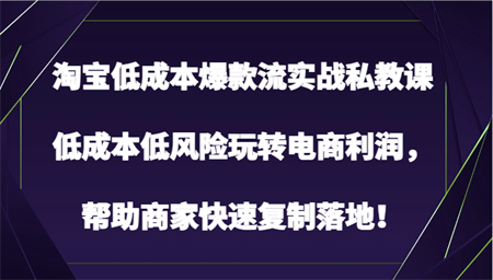 淘宝低成本爆款流实战私教课，低成本低风险玩转电商利润，帮助商家快速复制落地！-侠客分享网