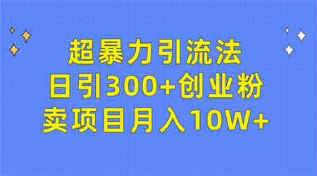 （9954期）超暴力引流法，日引300+创业粉，卖项目月入10W+-侠客分享网