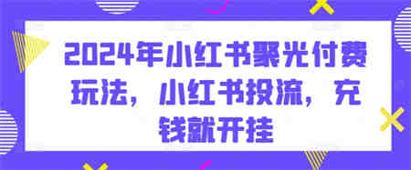 2024年小红书聚光付费玩法，小红书投流，充钱就开挂-侠客分享网