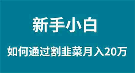 （9308期）新手小白如何通过割韭菜月入 20W-侠客分享网