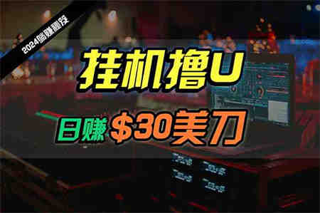 （10013期）日赚30美刀，2024最新海外挂机撸U内部项目，全程无人值守，可批量放大-侠客分享网