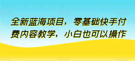 全新蓝海项目，零基础快手付费内容教学，小白也可以操作-侠客分享网