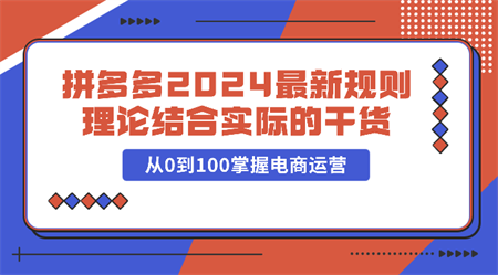 拼多多2024最新规则理论结合实际的干货，从0到100掌握电商运营-侠客分享网