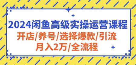 2024闲鱼高级实操运营课程：开店/养号/选择爆款/引流/月入2万/全流程-侠客分享网