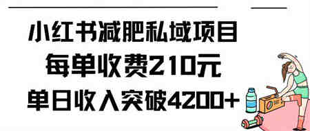 （9466期）小红书减肥私域项目每单收费210元单日成交20单，最高日入4200+-侠客分享网