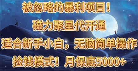 （10245期）被忽略的暴利项目！磁力聚星代开通捡钱模式，轻松月入五六千-侠客分享网