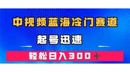 中视频蓝海冷门赛道，韩国视频奇闻解说，起号迅速，日入300＋-侠客分享网