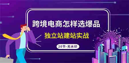 （9369期）跨境电商怎样选爆品，独立站建站实战（20节高清无水印课）-侠客分享网