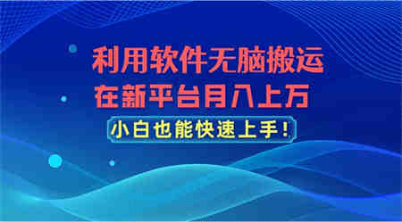 利用软件无脑搬运，在新平台月入上万，小白也能快速上手-侠客分享网