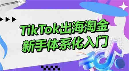 TikTok出海淘金，新手体系化入门，零基础快速入门，掌握短视频、直播带货等引流到变现的知识-侠客分享网